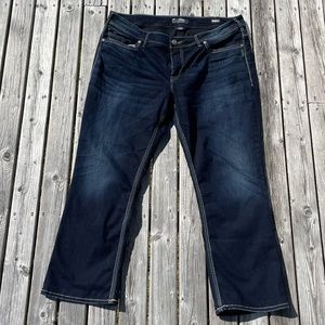 Plus Size Women’s Silver Jeans